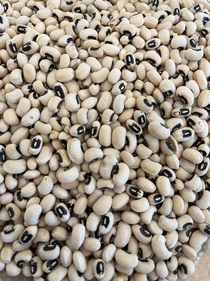 Cowpea Seeds